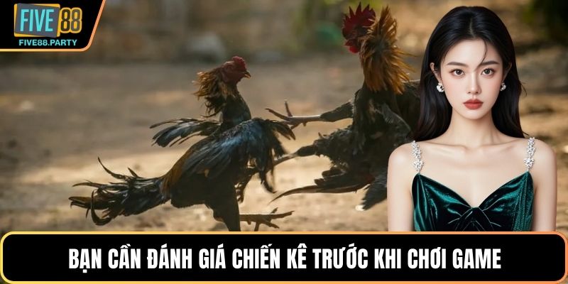Bạn cần đánh giá chiến kê trước khi chơi game