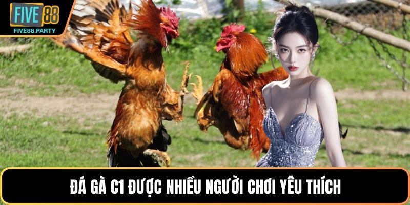 Đá gà C1 được nhiều người chơi yêu thích