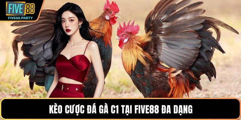 Kèo cược Đá gà C1 tại Five88 đa dạng