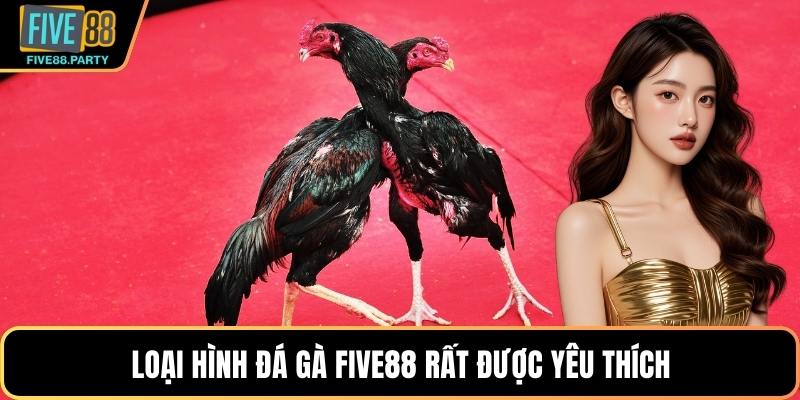 Loại hình đá gà Five88 rất được yêu thích