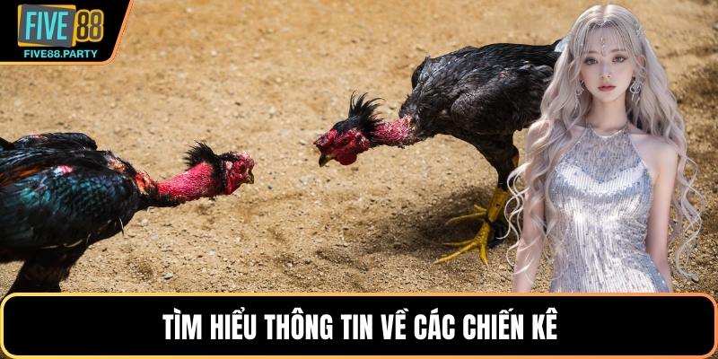 Tìm hiểu thông tin về các chiến kê